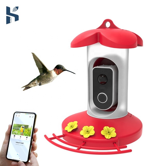 Hi Birds APP Monitoring Bird Automatic Feeder WiFi Intelligent Outdoor Hummingbird Camera Waterproof Plastic Modern Durable