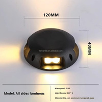 Projecteur LED d'extérieur en aluminium transparent, étanche IP65, 220V, à éclairage latéral, type « dos de tortue », pour sentiers et parcs, à intensité variable