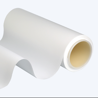 Toile filtrante tissée en nylon haute résistance pour la séparation solide-liquide, toile filtrante en nylon de précision pour la filtration de l'or