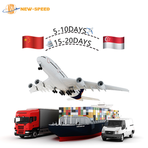 New Tốc Độ Quốc Tế Hậu Cần Người Đàn Ông Của T-Shirts Ddp & Ddu Fcl Vận Chuyển Cửa Đến Cửa Hàng Từ Trung Quốc Đến Singapore - Product Image 1