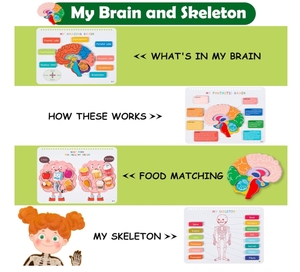 Livre d'activités HC Busy Book pour enfants, anatomie du <span class=keywords><strong>corps</strong></span> <span class=keywords><strong>humain</strong></span>, livre d'images coloré, activités d'apprentissage pour la maternelle, jouets sensoriels pour l'autisme, éducation précoce - Product Image 5