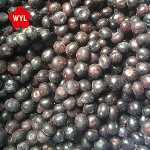 Importation de bleuets surgelés en vrac <span class=keywords><strong>Myrtilles</strong></span> <span class=keywords><strong>surgelées</strong></span> <span class=keywords><strong>Myrtilles</strong></span> <span class=keywords><strong>sauvages</strong></span> <span class=keywords><strong>surgelées</strong></span> pour confiture de jus de gros - Product Image 6