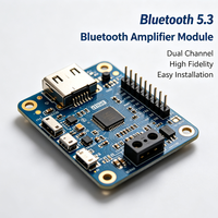 Bluetooth Ses Amplifikatör Modülü Çift Kanallı Dijital Güç Amplifikatörü Kartı Mini Stereo Bluetooth Amplifikatör Modülü Hoparlör için