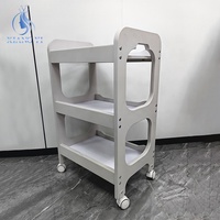 Chariot moderne de meubles de salon de beauté de stockage d'outils de coiffure de maquillage