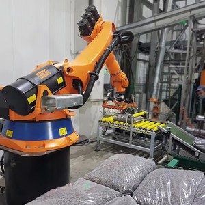 Robot industriel intelligent à 6 axes avec servomoteur électrique, charge utile de 4,63 kg, AGILUS R600, multifonctionnel, pour assemblage et transport - Product Image 5