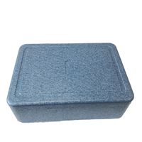 Boîte de transport isotherme EPP pour aliments avec 3 bacs GN en acier inoxydable et couvercles – Boîte chauffante pour le transport d'aliments chauds et froids pour la restauration