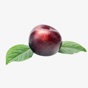 Miglior Prezzo per Prugne Fresche di Alta Qualità Grado A, 20kg in Offerta - Product Image 3