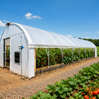 Serre tunnel à simple travée en acier galvanisé à chaud pour la culture de légumes, fournie directement par l'usine