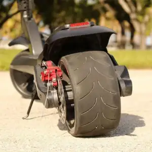 China Suppliers Wide Wheel 1000W 2 Wheel Electric Mobility Scooter/Motorcycle For Adults