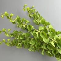 Fleurs et feuillage artificiels de haute qualité MoonYan, modèle DH-3550, 30-100 cm, délicats et frais, pour décoration intérieure/extérieure (échantillon)