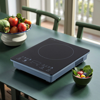Table de cuisson à induction portable 2800W, commande tactile, panneau en cristal, usage domestique et commercial