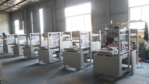 Máquina automática de sellado lateral en forma de L, máquina de embalaje con corte, máquina de embalaje de túnel de termocontracción para cajas de perfume, libros y películas de Pof Pe - Product Image 5