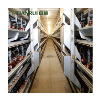 Cage à poulets Maille d'occasion à vendre Poulailler de base Poulailler batterie Système de cage Nid