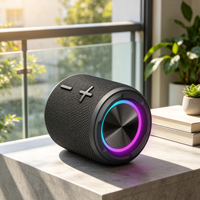 Équipement audio sans fil IPX7 5.3, étanche, éclairage LED RGB, enceinte portable