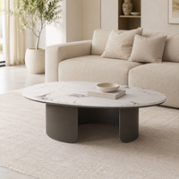 Table basse pour usage domestique, style italien moderne minimaliste, plateau en marbre Pandora, forme ovale, structure en métal, durable et facile à nettoyer