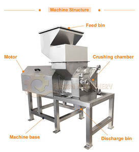 Operación automatizada Jengibre Plátano Mango Fruta Trituradora Máquina Chile Multifuncional Vegetal Chopper - Product Image 3
