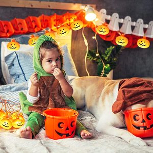 Garden Party Holiday Christmas Lighting Decoración impermeable Luces de cadena de calabaza al aire libre - Product Image 5