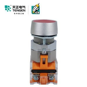 Tengen TGLA39 <b>Push</b> <b>Button</b> <b>Switch</b> Silver Dot Self-resetting Start Stop IP40 - Product Image 2