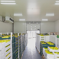 Projet d'entrepôt frigorifique modulaire, économie d'énergie, installation rapide, norme GMP