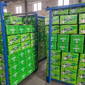 Ajo Blanco Fresco de Alta Calidad para Exportación, Empacado en Caja, Precios de Ajo Fresco Chino, Vegetales, Ali Alho - Product Image 6