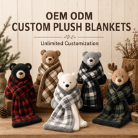Couverture en peluche personnalisée motif ours, couverture de Noël en peluche, vente en gros OEM ODM, douce et portable, cadeau de fêtes, collection maison