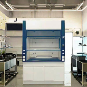 Hotte de laboratoire au design moderne personnalisable avec armoires en PP/acier, armoire à fumées chimiques pour laboratoire, école, hôpital - Product Image 2