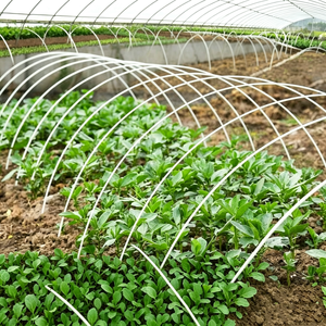 Varillas de Fibra de Vidrio Resistentes a los Rayos UV para Invernaderos, Estacas de FRP, Postes para Plantas de FRP, Uso Agrícola con Servicio de Corte Personalizado - Product Image 2