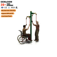 SageDelightRides OEM Equipo de Ejercicio al Aire Libre, Entrenador de Hombros y Tobillos para Niños, LLDPE, Acero, Plástico, para Escuelas, Parques, Preescolares, Venta al Por Mayor