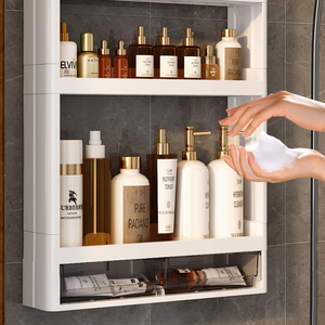 2023 New Arrivals Đa-Hai Lớp Kết Hợp Treo Tường Phòng Tắm Trang Điểm Kệ Giá Nhựa Mỹ Phẩm Lưu Trữ Box Cho Tủ Quần Áo - Product Image 3