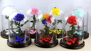 <span class=keywords><strong>Rose</strong></span> éternelle sous dôme <span class=keywords><strong>de</strong></span> verre, décor <span class=keywords><strong>de</strong></span> chambre d'enfant, fleur préservée, pour la saint-valentin des mères - Product Image 6