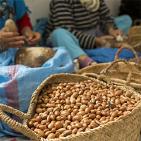 HL Morocco, fournisseur en gros d'huile d'argan, huile d'argan marocaine en gros 1 kg pour les cheveux - 100% pure naturelle, pressée à froid, qualité cosmétique