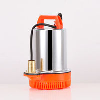 Pompe à eau submersible portable OEM 180W 12V DC, corps en acier inoxydable, sortie en laiton, économe en énergie, pour piscine, sous-sol, drainage des inondations