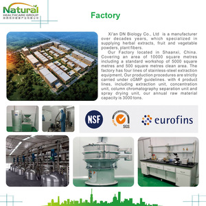 Nhà Sản Xuất Cung Cấp Chiết Xuất Từ Rễ Sọ <span class=keywords><strong>Baical</strong></span> Chất Lượng Cao/Chiết Xuất Từ Rễ Scutellaria Baicalensis Georgi 5%-95% Baicalin - Product Image 6