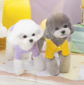 מכירת חיסול! מעיל ג'ינס אופנתי וידידותי לסביבה לכלבים, הדפס צבעוני, פוליאסטר, קז'ואל, קיץ ואביב, סיטונאי. - Product Image 6