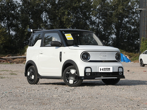 Minicar 2025 Geely Panda <span class=keywords><strong>Mini</strong></span> China Nieuwe Energie Elektrische <span class=keywords><strong>Mini</strong></span> Auto Goedkope Elektrische Voertuigen Te Koop Geometrie <span class=keywords><strong>Mini</strong></span> Ev Auto 4 <span class=keywords><strong>Seater</strong></span> - Product Image 6