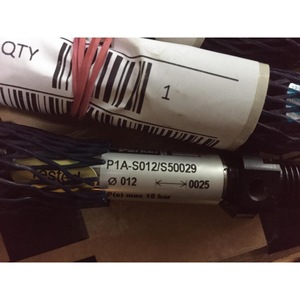 Cilindro Parker P1A-S012 S50029 de 12 mm, carrera de 25 mm, neumático, cuerpo de acero, tipo pistón - Product Image 1