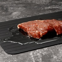 Plaque de décongélation rapide pour la cuisine et la maison, en alliage d'aluminium, pour décongeler rapidement les steaks, les aliments congelés et la viande