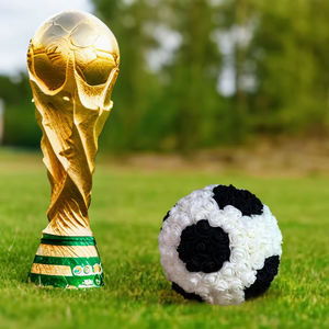 <span class=keywords><strong>Rose</strong></span> artificielle en gros pour la saison de football, jouet de football, décoration d'ambiance, cadeau <span class=keywords><strong>rose</strong></span>, <span class=keywords><strong>rose</strong></span> blanche, décoration intérieure - Product Image 1