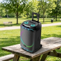 BA-S1201 Altavoz Inalámbrico con Ruedas de 12 Pulgadas, Micrófono RGB, para Eventos al Aire Libre, MOQ 5 Piezas, Logotipo Personalizado, Marca Privada de Fábrica, Entrega Rápida en 7 Días