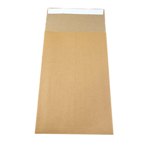 Enveloppes personnalisées pour fournisseurs, enveloppes commerciales de Noël, papeterie, enveloppes d'expédition autocollantes pour lettres et factures - Product Image 3