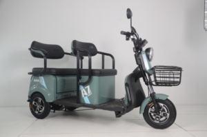 Tricycle à moteur 800W 48V, scooter à <span class=keywords><strong>3</strong></span> <span class=keywords><strong>roues</strong></span>, scooter de mobilité, scooter de mobilité <span class=keywords><strong>2</strong></span> <span class=keywords><strong>places</strong></span>, scooters de mobilité à <span class=keywords><strong>3</strong></span> <span class=keywords><strong>roues</strong></span>, tricycle - Product Image 5
