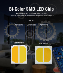 Hai màu <span class=keywords><strong>SMD</strong></span> <span class=keywords><strong>LED</strong></span> 2835 2700K + 6500K <span class=keywords><strong>bi</strong></span> màu <span class=keywords><strong>Led</strong></span> Chip 0.2W * 2 0.5W * 2 1W * 2 2835 3030 5050 5054 <span class=keywords><strong>Led</strong></span> Chip - Product Image 5