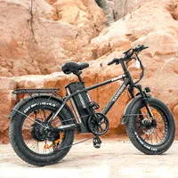 Nieuwe Aankomen Samebike XWC05 20 '750W Krachtige 48V 13a Lithium Batterij Off Road Aluminium Fat Tire elektrische Dirt Fiets