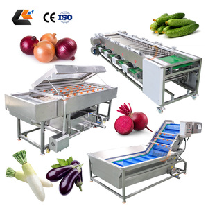 Ligne de production de brosses de lavage pour choux, nettoyeur d'avocats, trieuse d'oignons, laveuse de fruits de la passion et de carottes bébé - Prix usine - Product Image 5