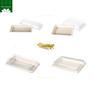 Custom Service Biodegradable Sugarcane Bagasse Eco Friendly Sushi Packaging Bio Box For Sushi