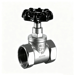 Válvula de Globo Antifugas para Calentador de Agua Doméstico, Acero Inoxidable 316, Sello Suave, Rosca Interna J11X-16P, Tubería DN15-DN50 - Product Image 1