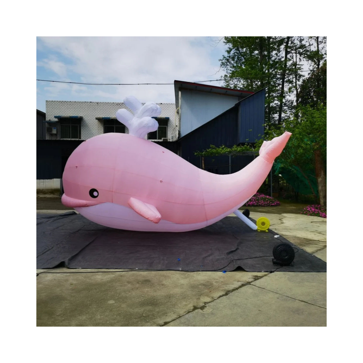 Giant Dolphin Floaty Large Inflatable Dolphin Blow Up Dolphin Fun