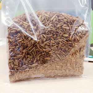 Larvas de Mosca <span class=keywords><strong>Soldado</strong></span> Negra Secas y Tostadas Bioforte, Alto Contenido de Proteína, Inodoras, para Mascotas, Pollos y Patos, Ingredientes Naturales y Orgánicos - Product Image 2