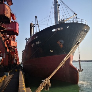 Servicio de Transporte Marítimo LCL desde el Puerto de Tianjin a Dubái, Emiratos Árabes Unidos, Logística Oceánica, Ruta China-Europa - Product Image 4