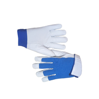 Cuir de grain de porc. Dos en tissu élastique bleu. Poignets doublés de tissu de rayonne de polyester blanc. Grade B-DLP426